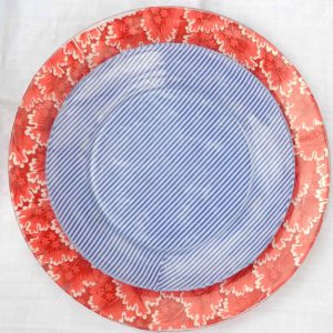4th of July patriotic red blue and white plates.
