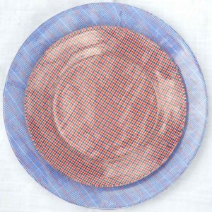 4th of July patriotic red blue and white plates.
