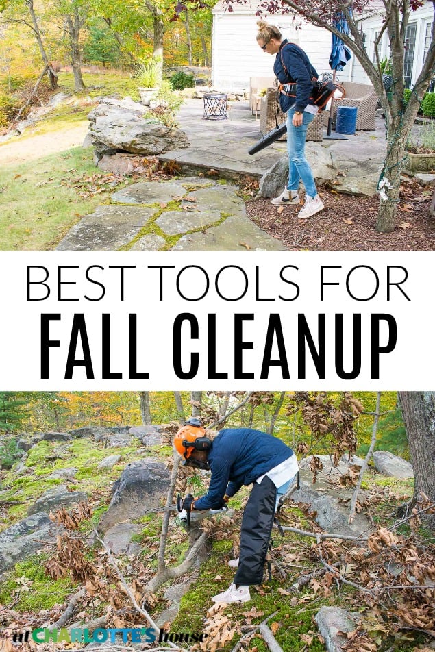 tools for fall cleanup