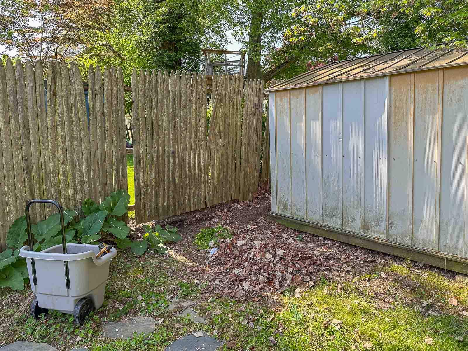 clear out around the shed