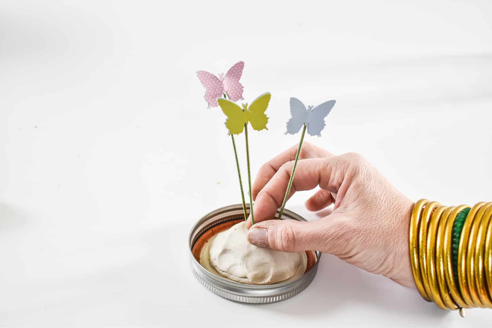 create the terrarium