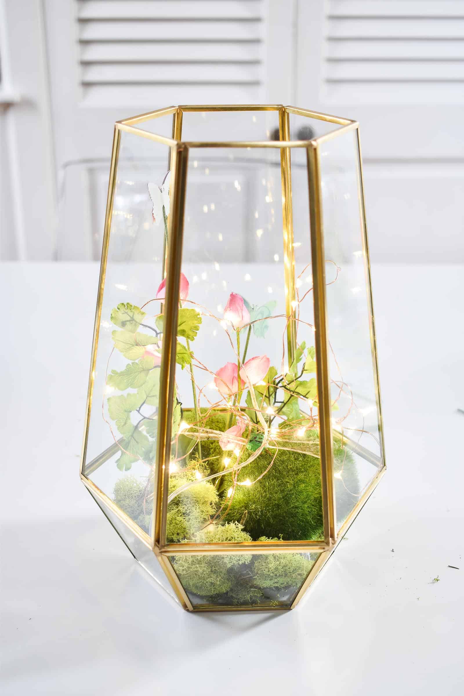 add LED lights to terrarium