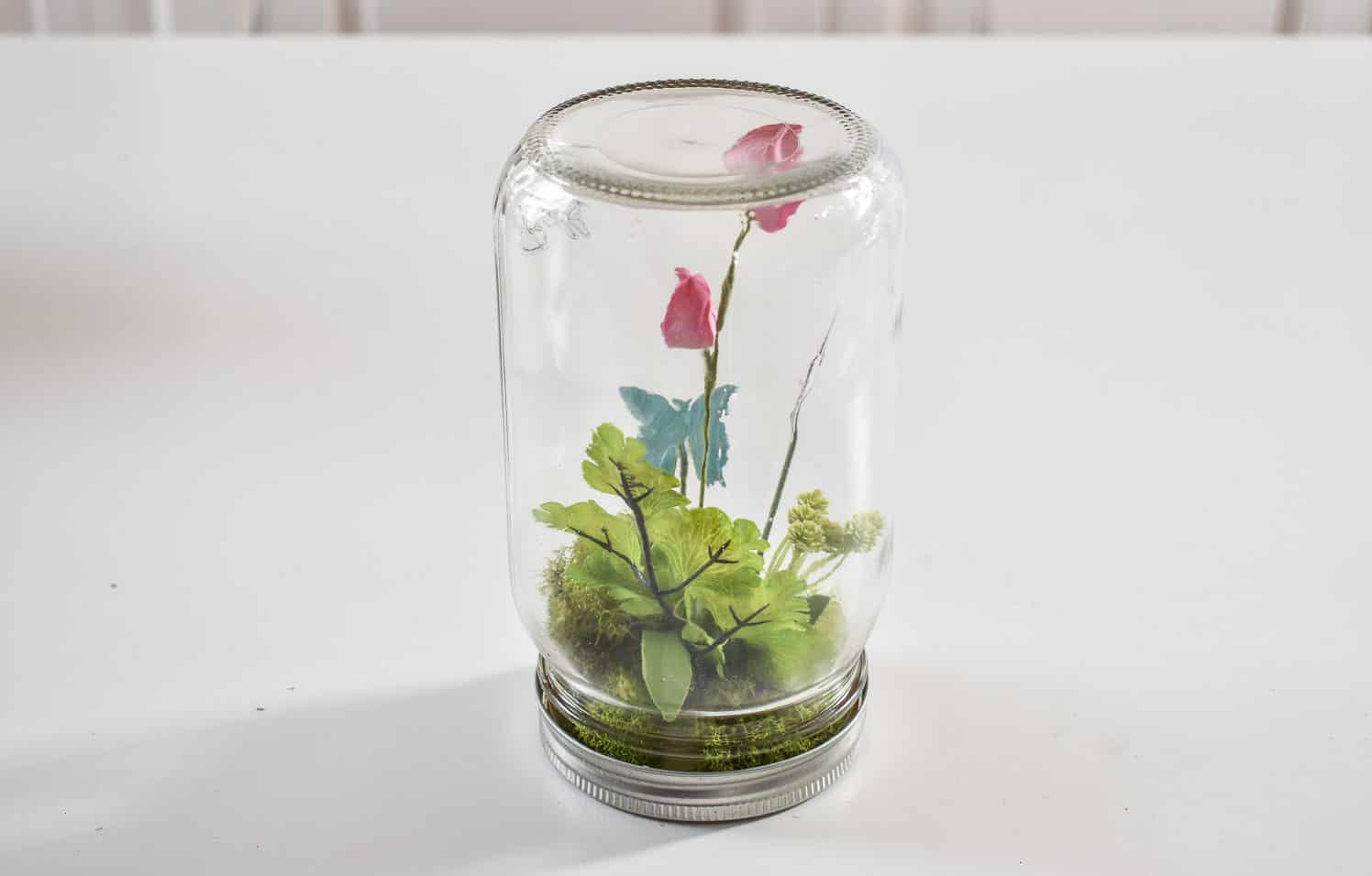 simple mason jar butterfly terrarium