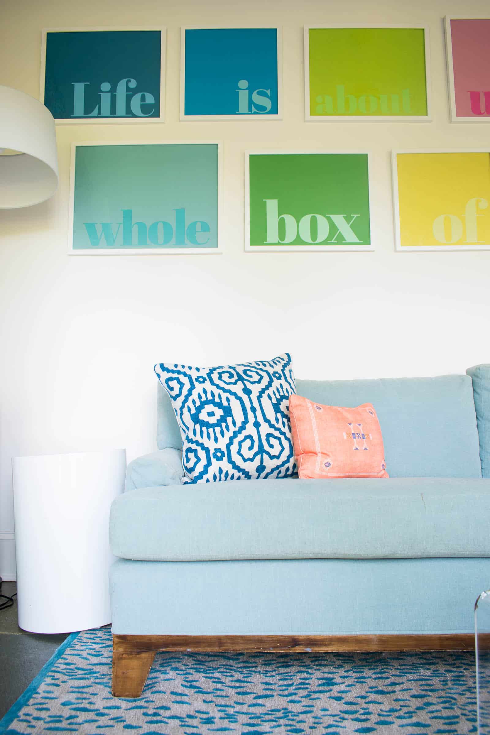 throw pillows for the couch