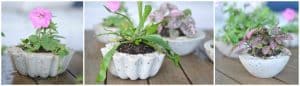 DIY Budget Concrete Planters