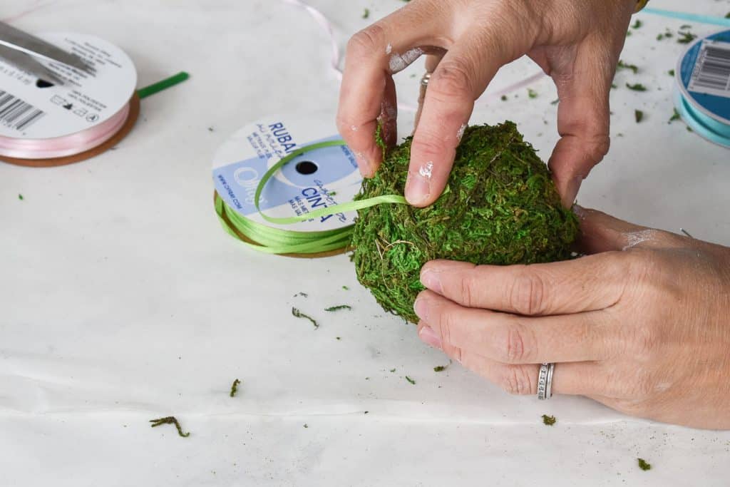 wrap moss with colorful ribbon