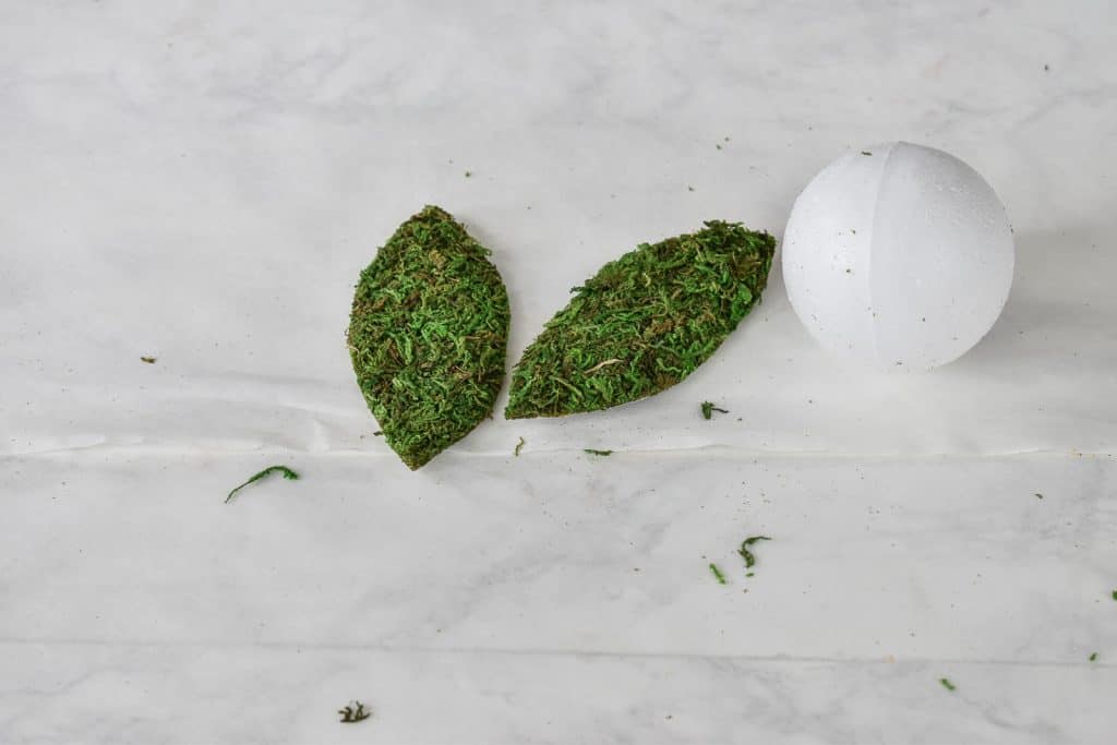 trace and cut moss