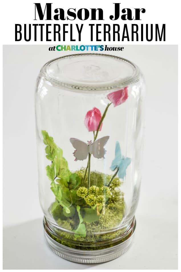 mason jar butterfly terrarium