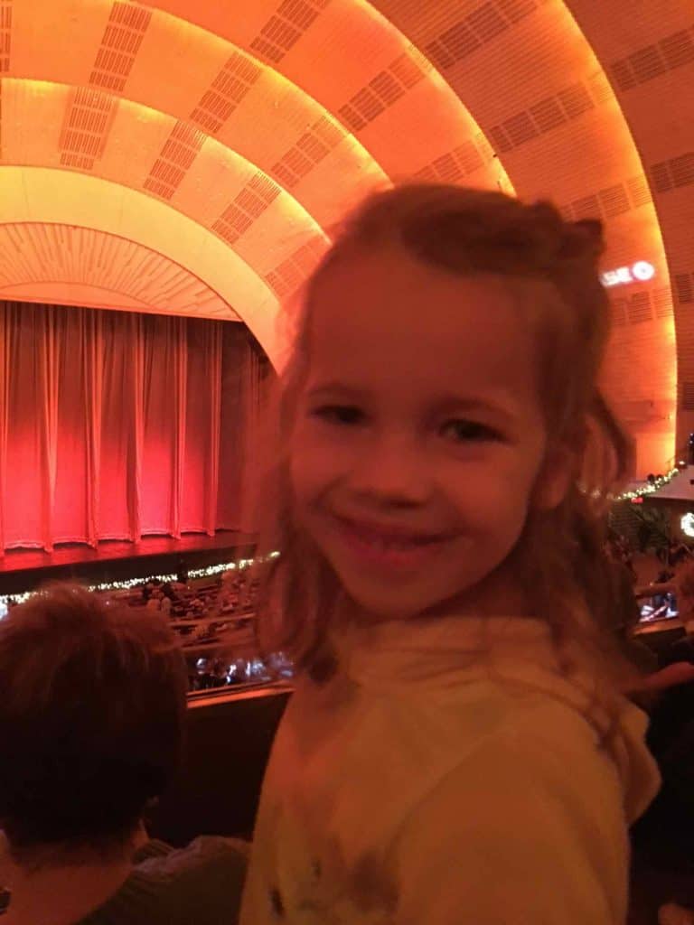 special day trip to NYC