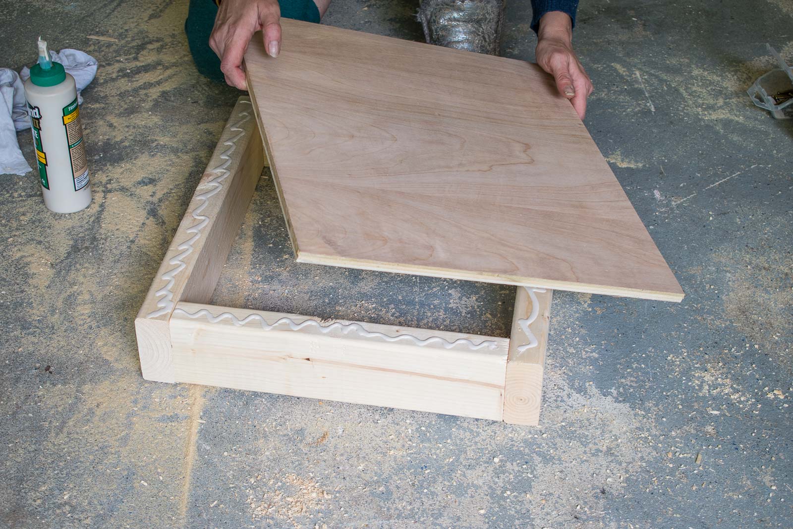 wood glue and screws
