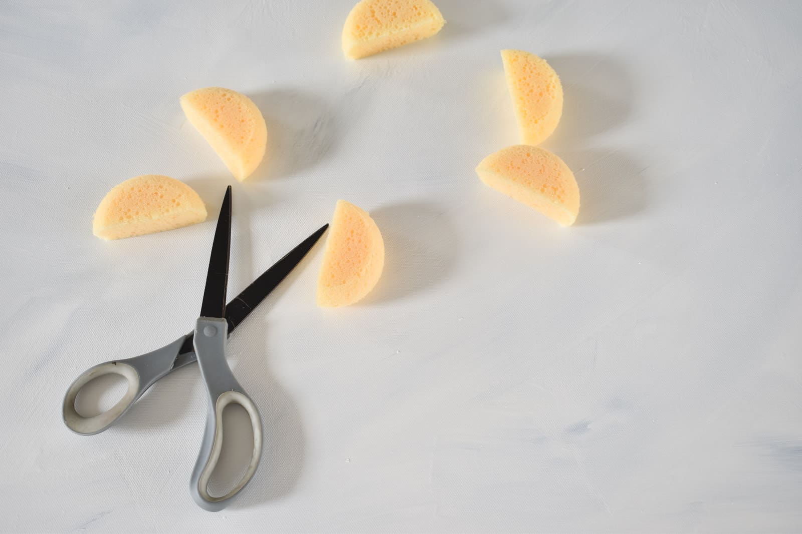 cut circular sponges in half