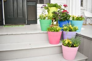 Spray Shelter and Spring Planters