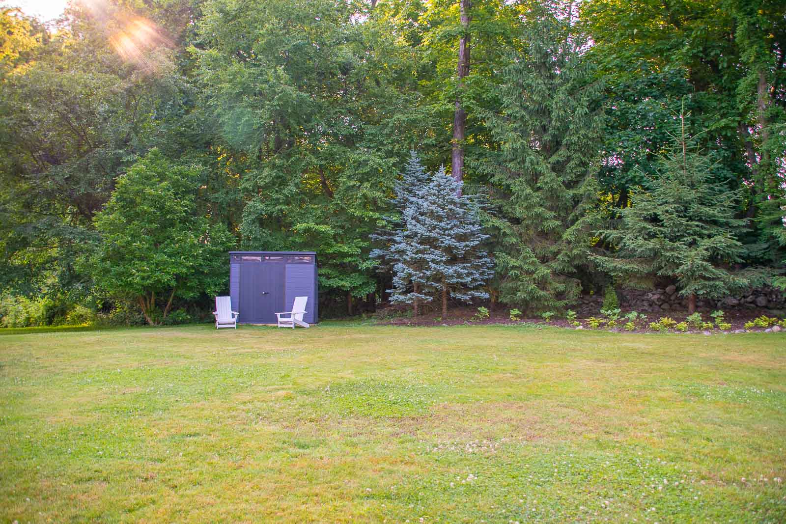 back yard lawn