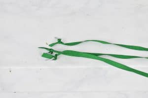 attach ribbon to moss ball