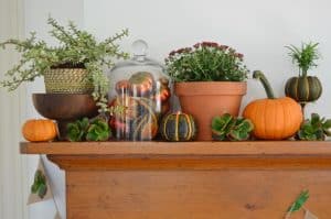 https://blog.homedepot.com/fall-mantel-decorations-succulents/